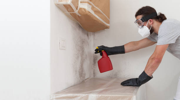 Professional Bathroom Mold Removal technician working in Walpole, MA