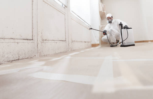 24/7 Emergency Bathroom Mold Removal experts in Walpole, MA