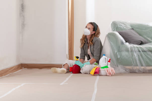 Reliable Bathroom Mold Removal contractor in Walpole, MA by WQB Mold Removal
